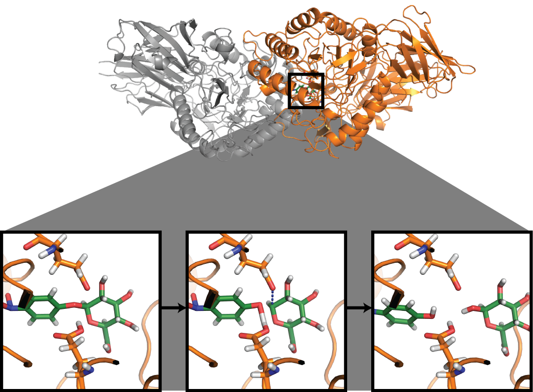 Research Group of Costas D. Maranas. Penn State Department of Chemical