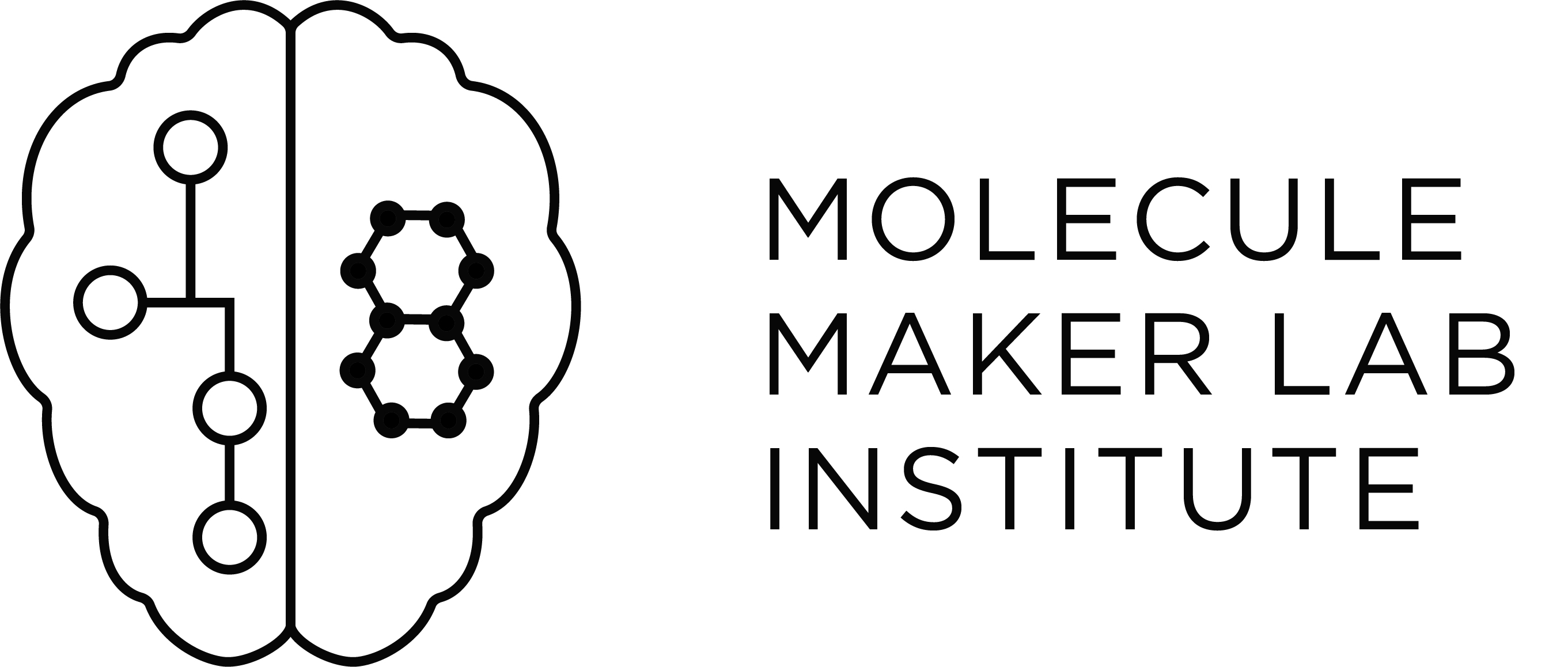 MMLI: The Molecule Maker Lab Institute