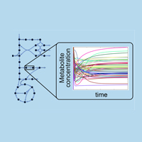 Reconstruction, Analysis & Redesign of Metabolic Pathways